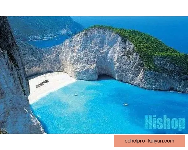 赖斯合同情况引发关注，未来去向面临多方竞争与考量。